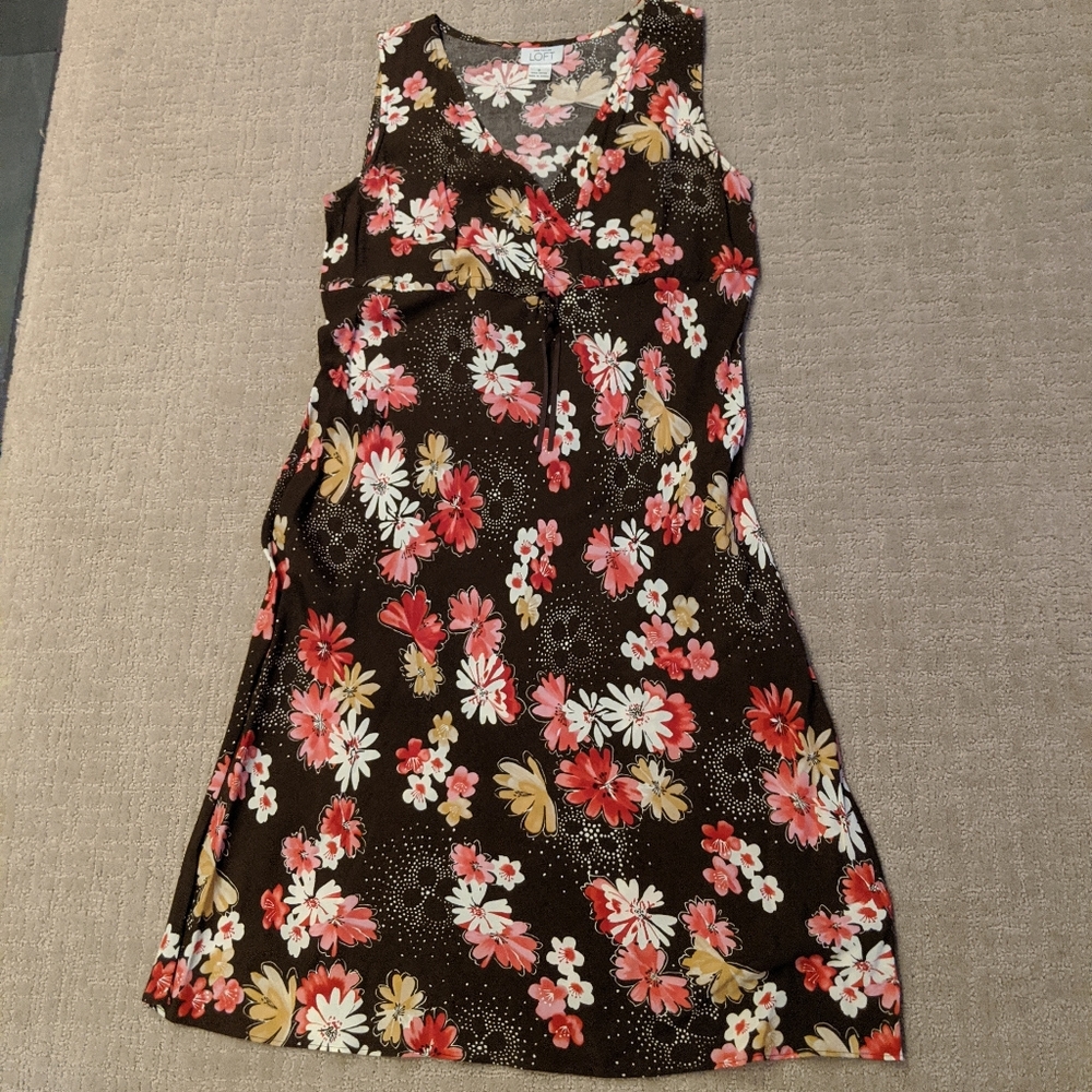 Ann Taylor Loft Dress
